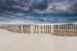 Tarifa