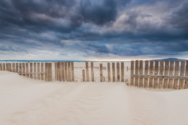 Tarifa