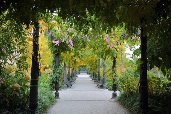Jardines Reales (Venecia)