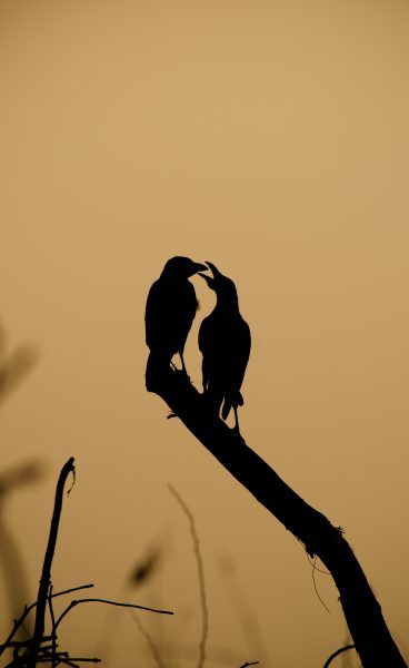Fotografía de paisajes