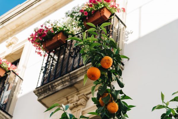 Fotografías de Sevilla