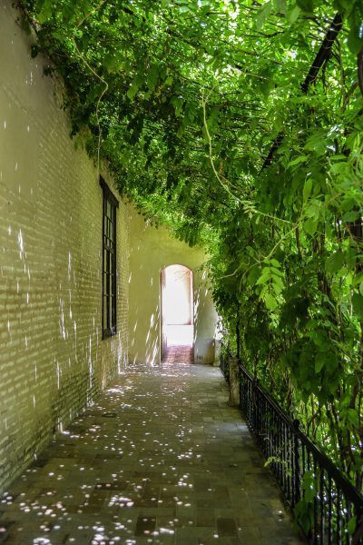 Fotografías de Sevilla
